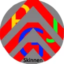 PGJ Skinning