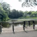 The Threshing Floor Discord Server Icon