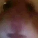 Hamster Colt