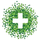 CLEF-eHealth