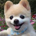 김승