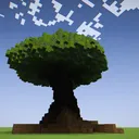 Survival SMP