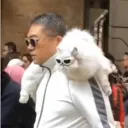 Legend of Gypsies │ 卂Ҝ卂乙卂シ developer DCje Discord server icon