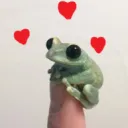 FROG SUPREMACY