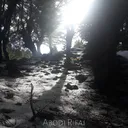Abodi Rifai