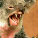 Kids in my basement's icon