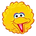 The Birds Nest