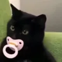 Zoww 父