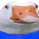 Goose Hivemind