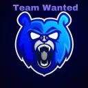 TEAM WANTED