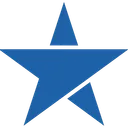 BlueStar Airlines