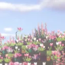 The Dreah SMP