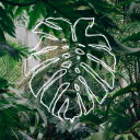 Urban Jungle icon