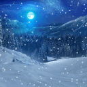 The Winter Oasis