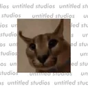 untitled studios