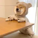 咩駝抽獎城