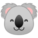 Koala Moala Crew