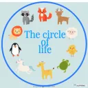 The Circle of Life