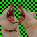 ðŸ§ªã€ SEWER RAVE ã€‘ Server Icon