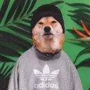 Логово НубПсов