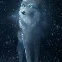 E White Wolf's server