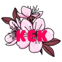 KirschblütenKeK's