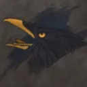 The Raven's Nest