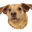 The Lost Woods Discord Server Icon