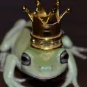The Frog Spa
