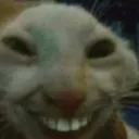 PANSHI LES STREAMS DE PANSHI