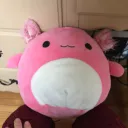 Archie the axolotl's server wastland