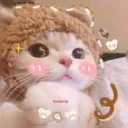 Jimin's Lounge