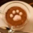 [𝐀𝐥𝐥 𝐖𝐞𝐥𝐜𝐨𝐦𝐞!!] 𝐒𝐮𝐤𝐢'𝐬 𝐂𝐚𝐟𝐞 | 💕 | 🌈  | ☕