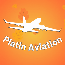 Discovery icon for Platin Aviation · Official Community Discord server