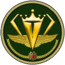 Diamond RP Military Organs