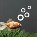 Aquarium Designer