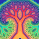 Starfish Collective