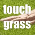 touch grass's icon