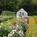 vlumi's garden