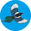 magpiecoin