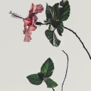 Chill Hub Server Icon