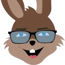 Tiny Bunnie 🐰