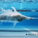 Natación por Skills N' Talents