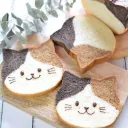 🗒 ❛ Stars adopt bakery༉‧₊˚✧