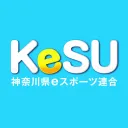 神奈川県ぷよぷよeスポーツ　オンライン大会