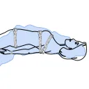 Encordages Lémaniques