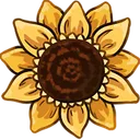 Soph’s Sunflowers