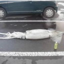 celestial rejects Discord server icon