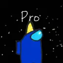 The Pro Gaming