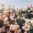 ✿♥